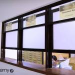 Trại hè tiếng anh EV Academy 10