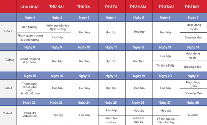 Trại hè QQ English IT Park 01
