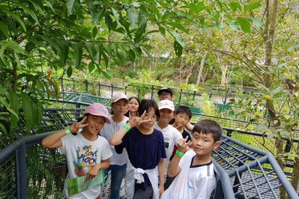 Con còn bé không nên cho tham gia trại hè anh ngữ quốc tế?