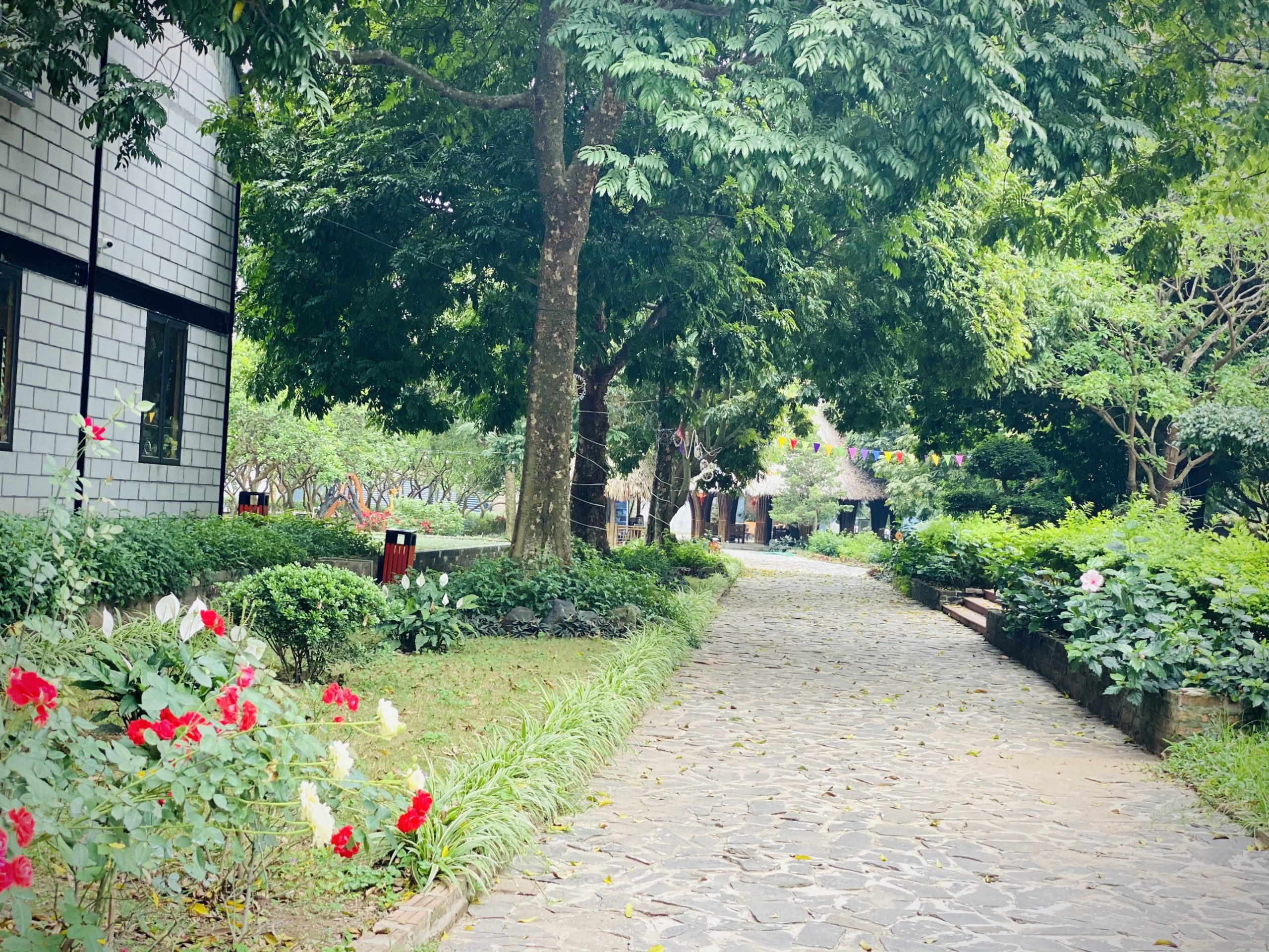 STEAMLAND Hoài Đức