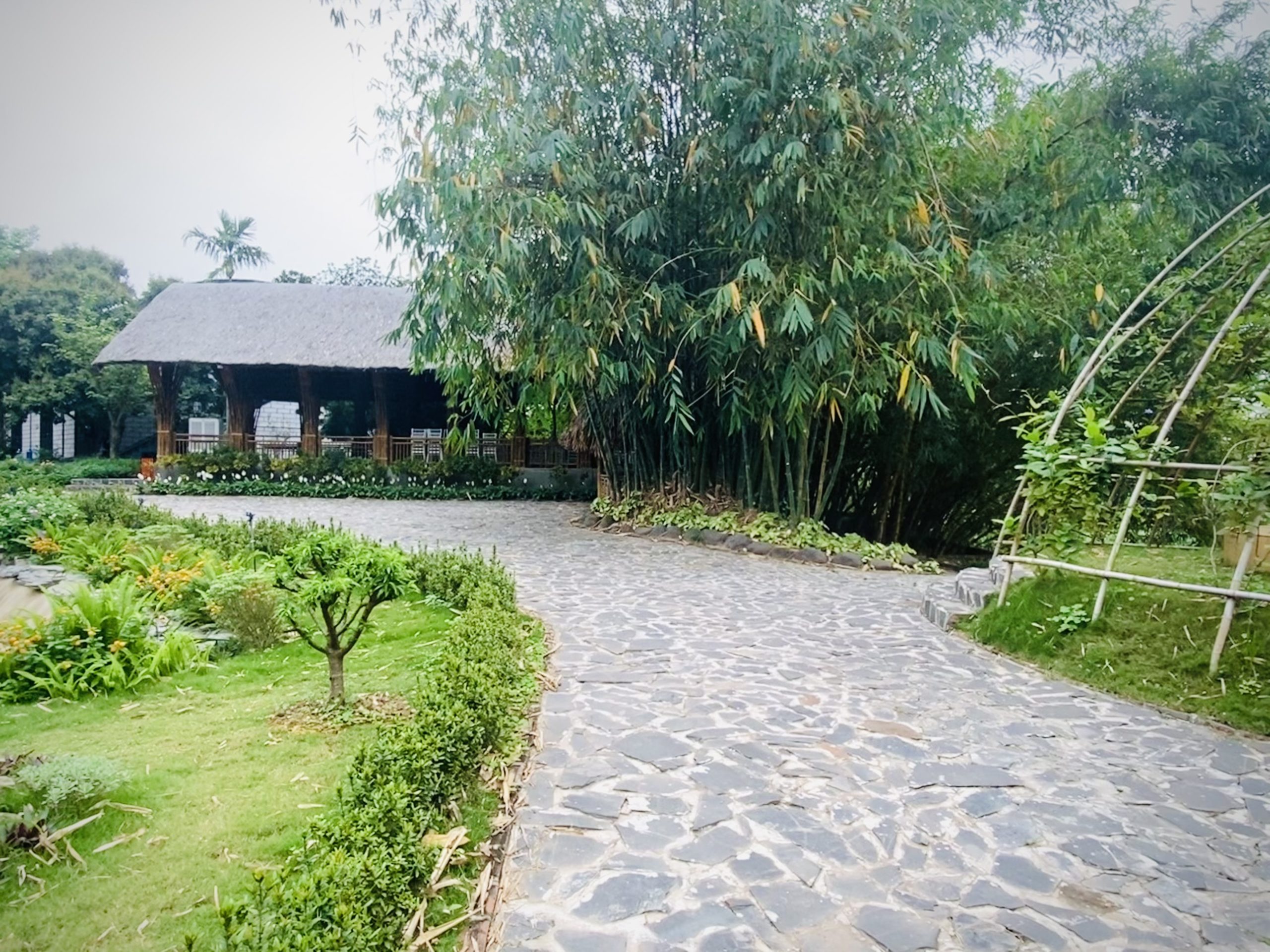 STEAMLAND Hoài Đức