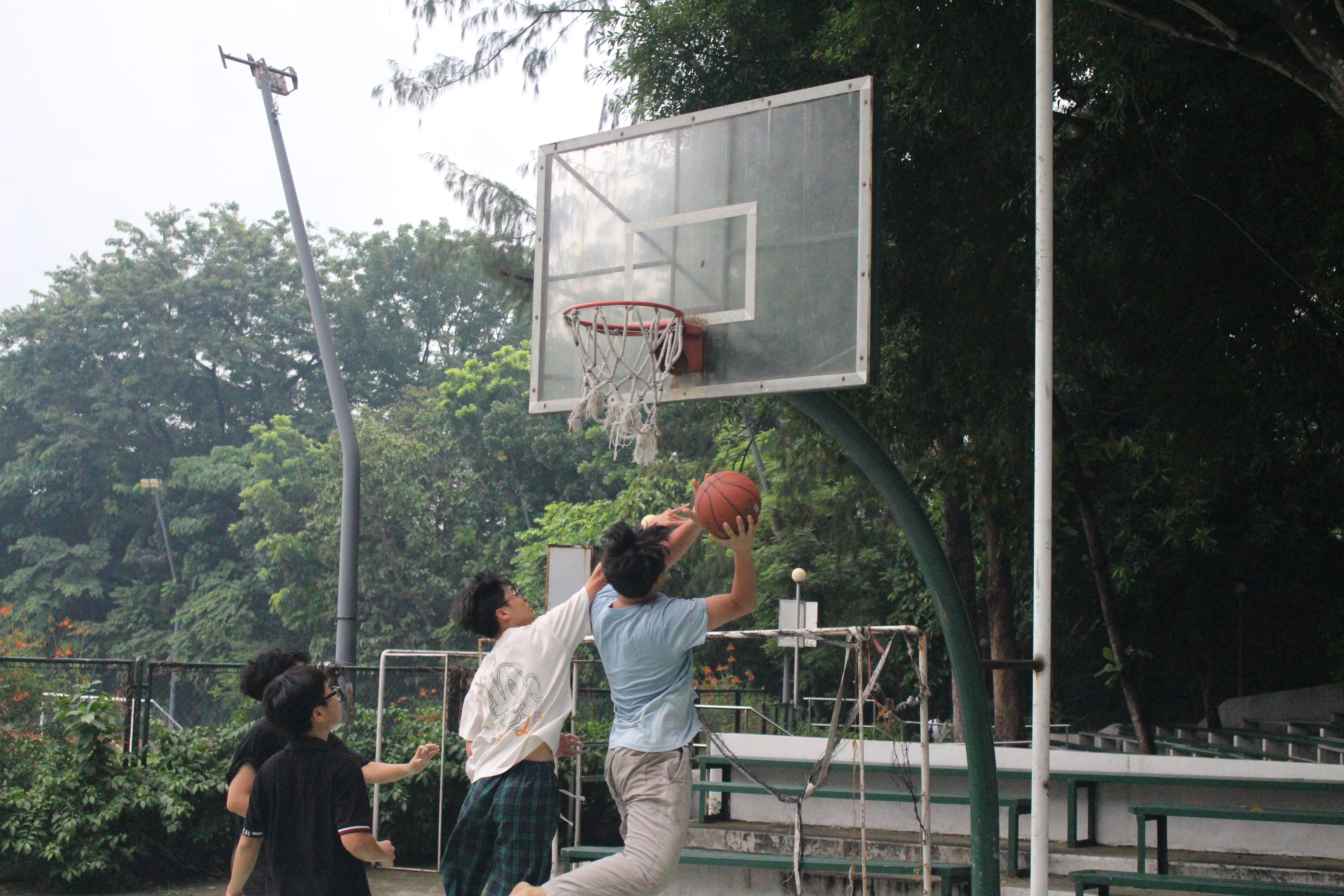 Trai he truong DH De La Salle 2025 - Cover Image